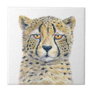 Cheetah Kakelplatta