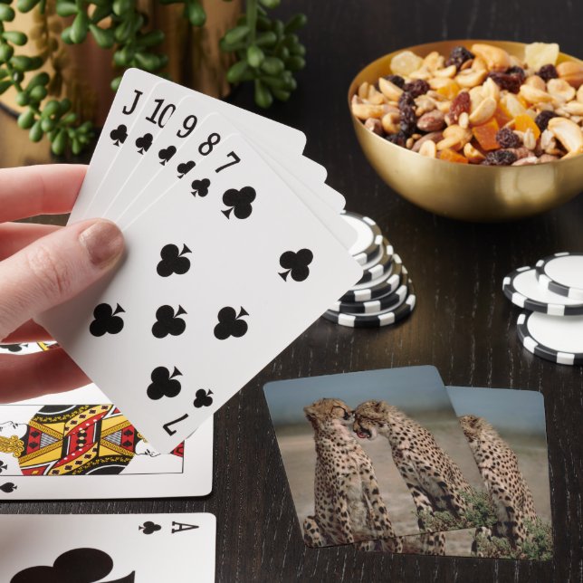 Cheetah Kärlek Casinokort (På plats)