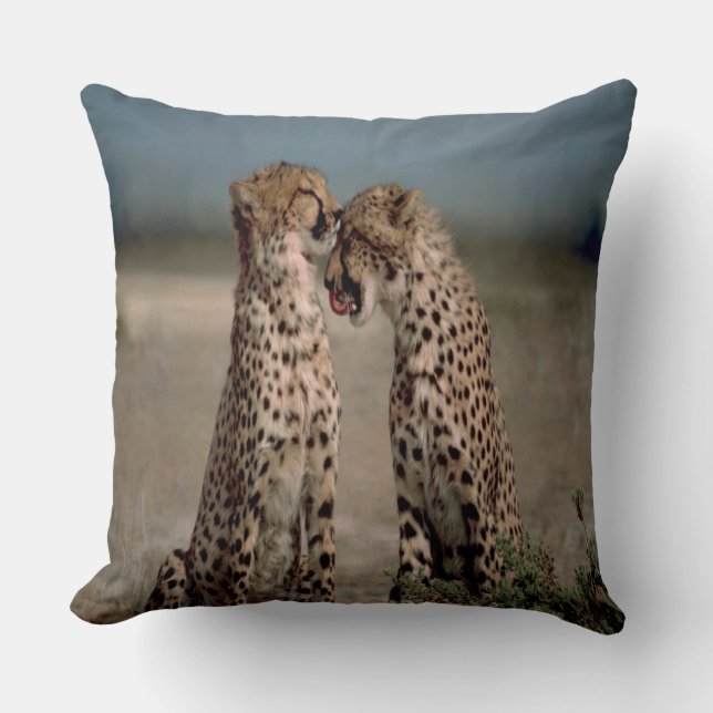 Cheetah Kärlek Kudde (Framsida)