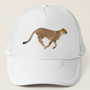 Cheetah Keps