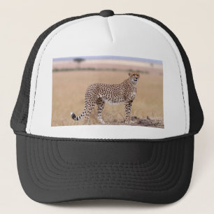 Cheetah Keps