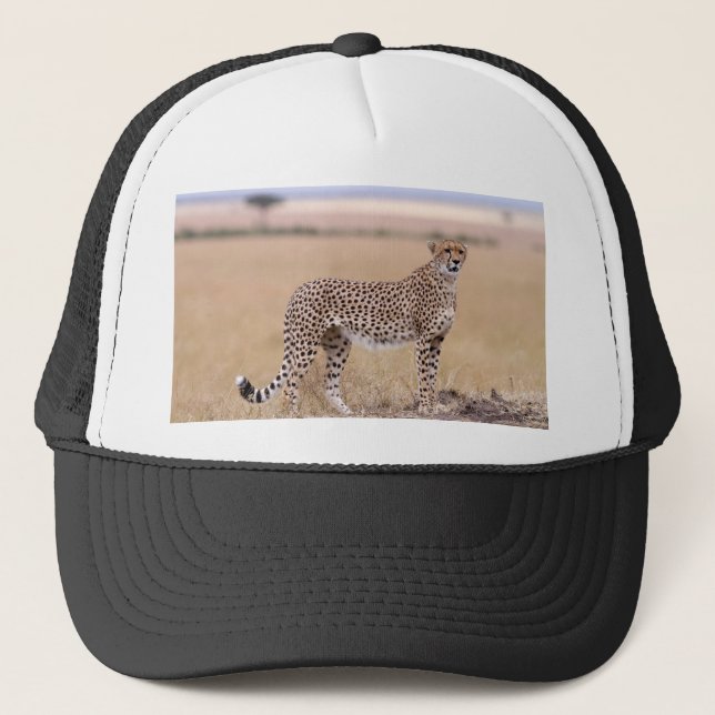 Cheetah Keps (Framsida)