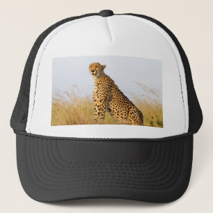 Cheetah Keps
