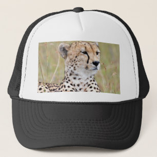 Cheetah Keps