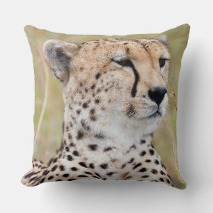 Cheetah Kudde