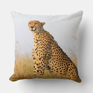 Cheetah Kudde