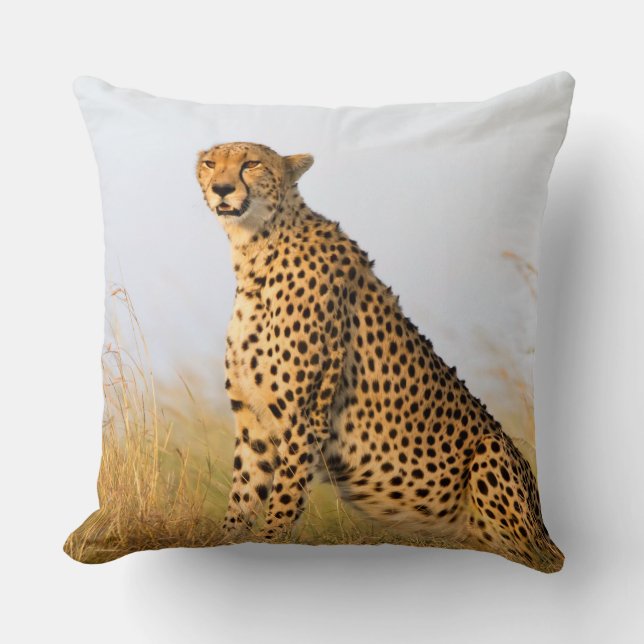 Cheetah Kudde (Framsida)