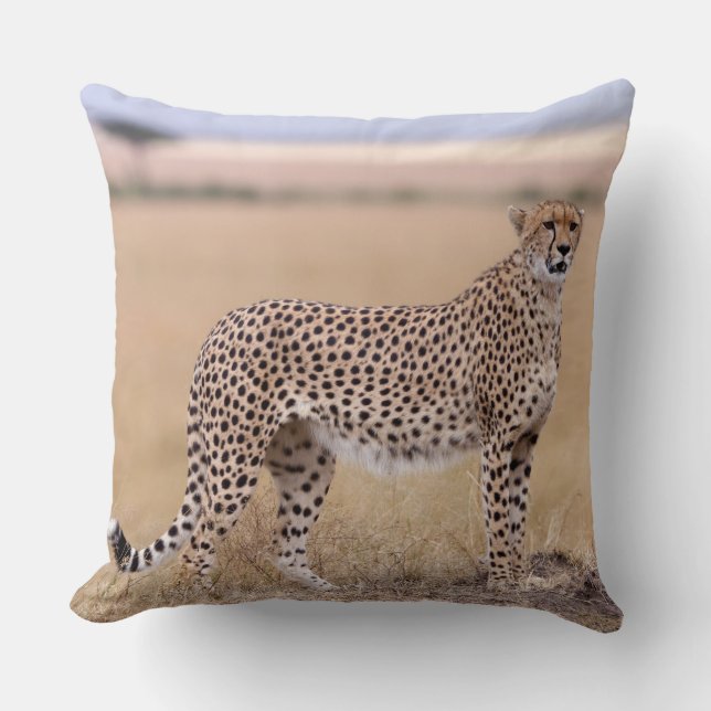 Cheetah Kudde (Framsida)