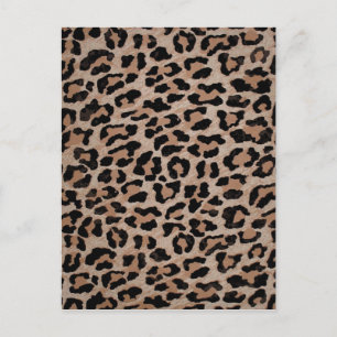 cheetah leopard print vykort