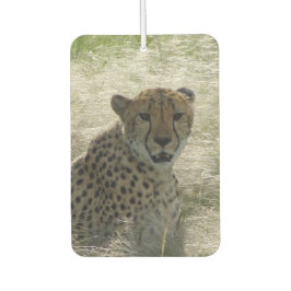 Cheetah Luft Freshener