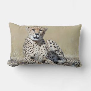 Cheetah Lumbarkudde