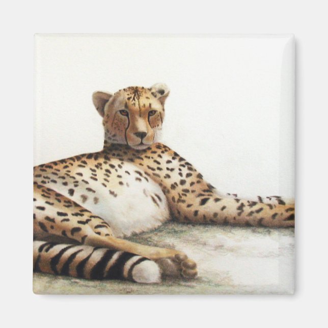 Cheetah Magnet (Framsidan)