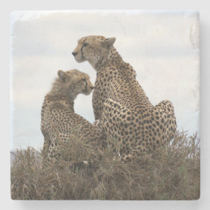 Cheetah Mamma och Unge (fullt) Stone Underlägg