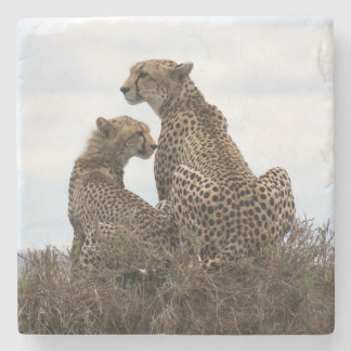 Cheetah Mamma och Unge (fullt) Stone Underlägg