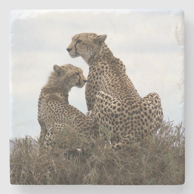 Cheetah Mamma och Unge (fullt) Stone Underlägg (Framsidan)