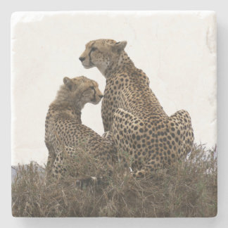 Cheetah Mamma och Unge Stone Underlägg