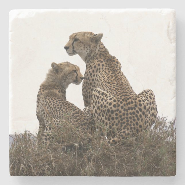 Cheetah Mamma och Unge Stone Underlägg (Framsidan)