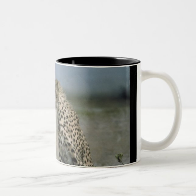 Cheetah Mugg (Höger)
