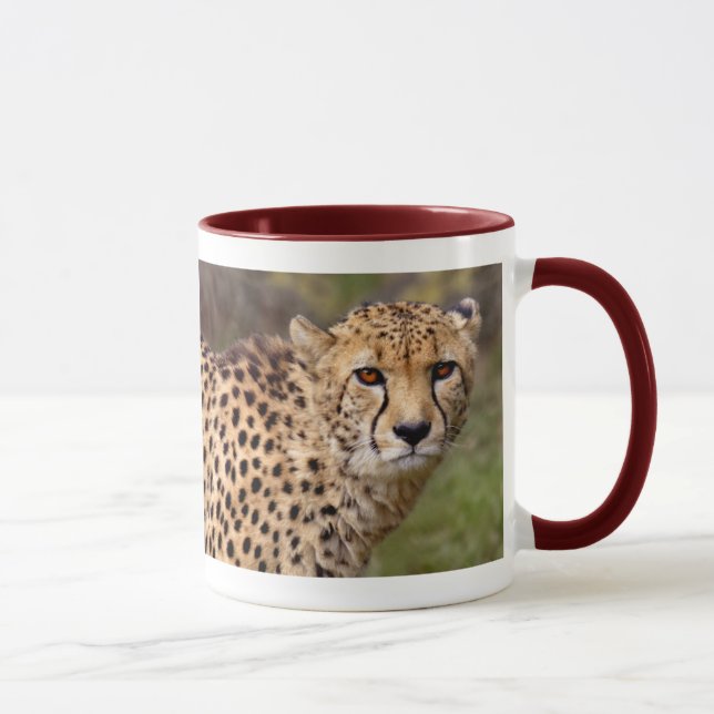 Cheetah Mugg (Höger)