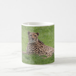 Cheetah Mugg