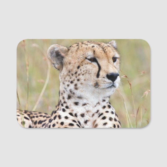 Cheetah Namnbricka (Framsida)