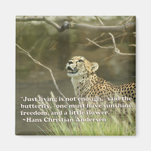CHEETAH OCH FJÄRIL MAGNET