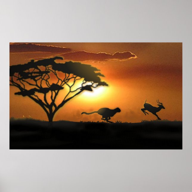 Cheetah och Gazelle Poster (Framsidan)