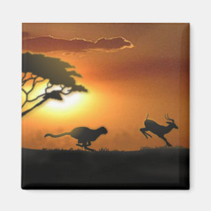 Cheetah- och Gazellemagnet Magnet