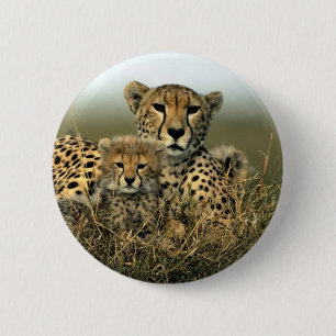 Cheetah och unge knapp