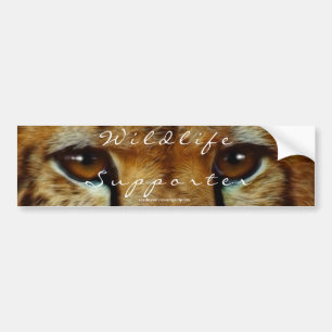CHEETAH ÖGON Wildlife Supporter BUMPER STICKER Bildekal