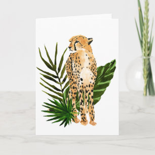 Cheetah Outlook Kort