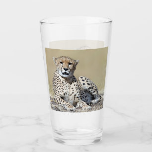 Cheetah på bilden av Masai Mara i Kenya Glaskopp