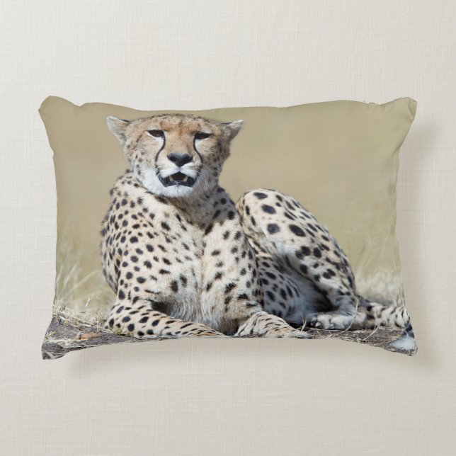 Cheetah på bilden av Masai Mara i Kenya Prydnadskudde (Framsidan)