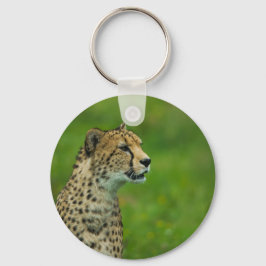 Cheetah på en sökning nyckelring