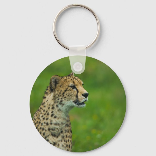 Cheetah på en sökning nyckelring (Framsida)