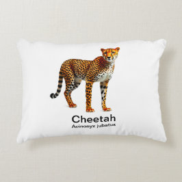 cheetah på vit bakgrund prydnadskudde