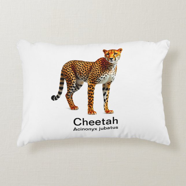 cheetah på vit bakgrund prydnadskudde (Framsidan)
