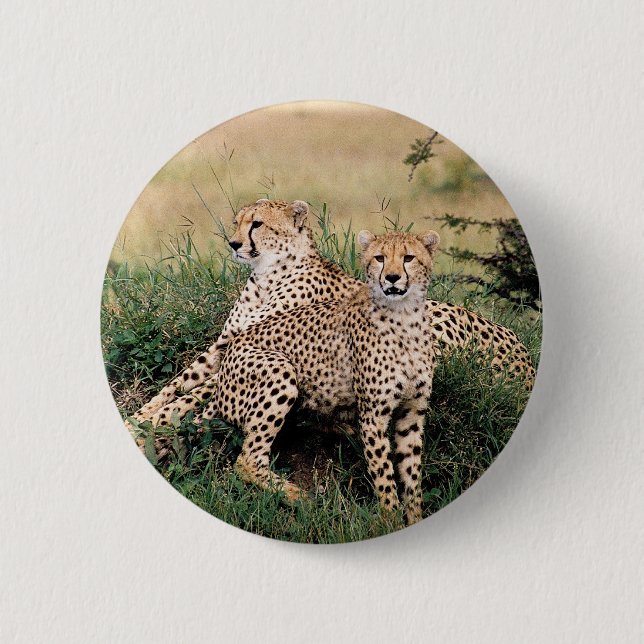 Cheetah Pair Knapp (Framsida)