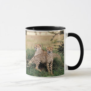 Cheetah Pair Mugg