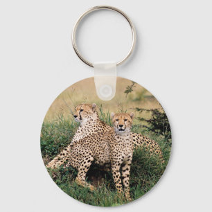 Cheetah Pair Nyckelring