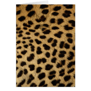 Cheetah päls Wildlife Cards-serien Hälsningskort