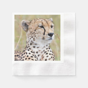 Cheetah Pappersservett