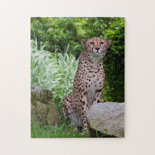Cheetah Photo Puzzle Pussel (Vertikal)