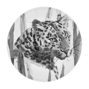 Cheetah Porträtt