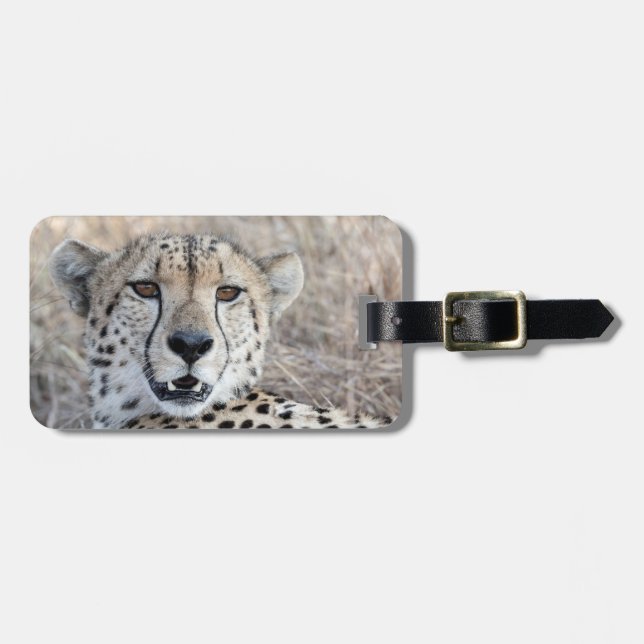 Cheetah Porträtt Bagagebricka (Horisontell Framsida)