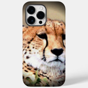 Cheetah Porträtt by Full Moon: Naturens Grace