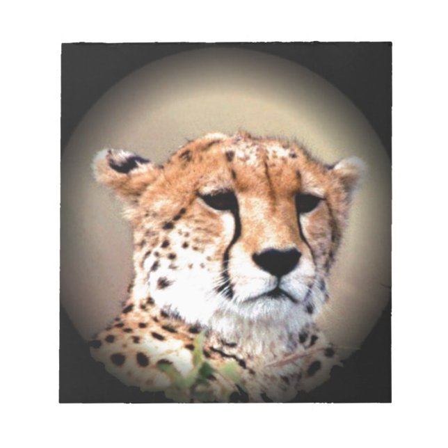 Cheetah Porträtt by Full Moon: Naturens Grace Anteckningsblock (Framsida)