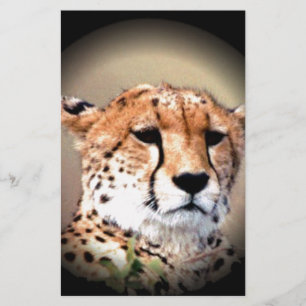 Cheetah Porträtt by Full Moon: Naturens Grace Brevpapper