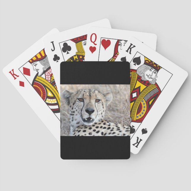 Cheetah Porträtt Casinokort (Baksidan)