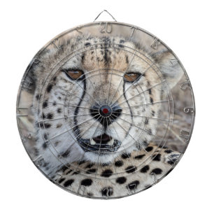 Cheetah Porträtt Darttavla